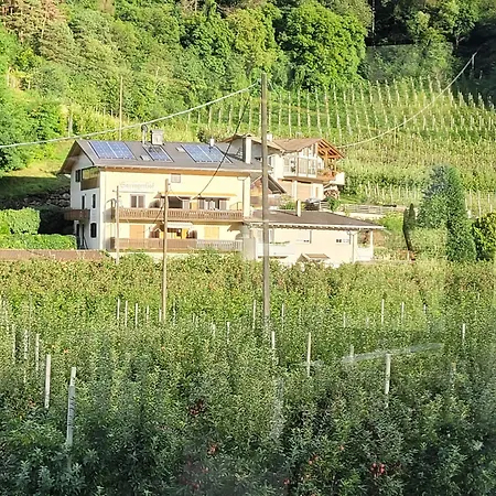 Saringerhof Apartment